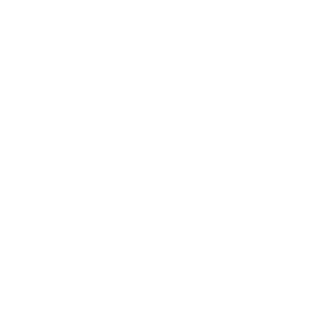 O2 logo