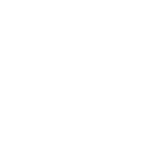 O2 logo